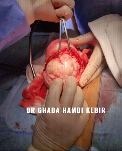 Capture d’écran 2025-01-23 194349