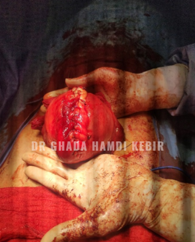 Capture d’écran 2025-01-23 194504