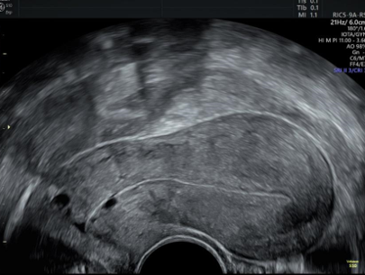 Capture d’écran 2025-01-23 205656
