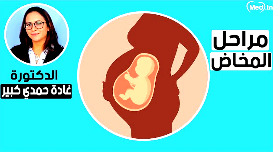 enhanced_final_image